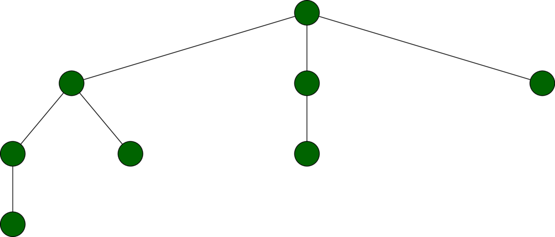 The binomial tree of rank 3